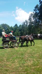 Središki konjeniki udeležbo v Zelendvoru kronali z zmago dvovpreg 3